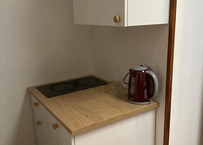 Hotel Gotthard Residents 3*